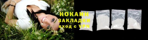 прущие крисы Няндома