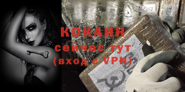 прущие крисы Няндома