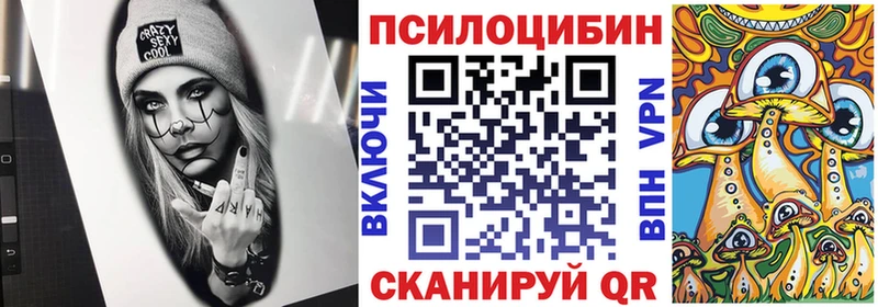 Псилоцибиновые грибы мухоморы  Петровск-Забайкальский 